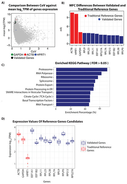 RNA-seq analysis of genes and candidate reference genes.