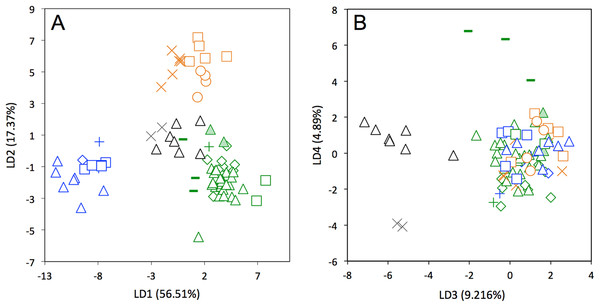 Linear Discriminant Analysis (LDA) performed on cranial shape coordinates of Dasypus novemcinctus (A, LD1 vs LD2; B, LD3 vs LD4).