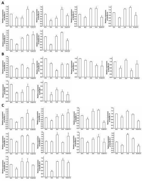 Expression of 22 GhCBL genes under potassium deprivation.