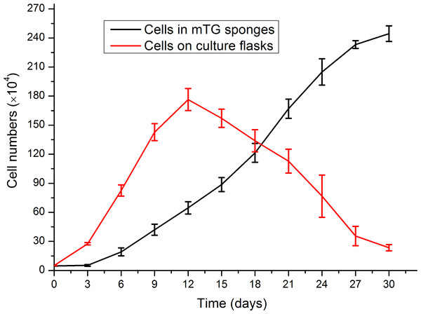 Evaluation of cell proliferation in mTG sponges and on culture flasks.