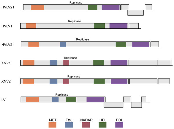 Schematic ORF organization depicting genomic RNAs of analyzed invertebrate viruses.