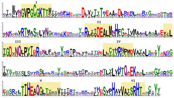 Sequence logos of the SF1H conserved domains encoded by insect LINE transposons.