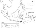 Late Pleistocene songbirds of Liang Bua (Flores, Indonesia); the first ...