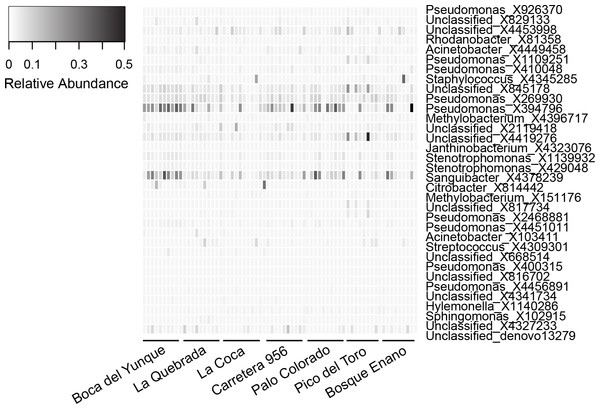 Relative abundance of OTUs (N = 34) representing the core microbiota for Eleutherodactylus coqui.