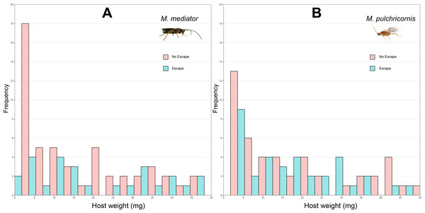 Distribution of body weight for Mythimna separata larvae with or without escaping in response to Microplitis mediator (A) and Meteorus pulchricornis (B).