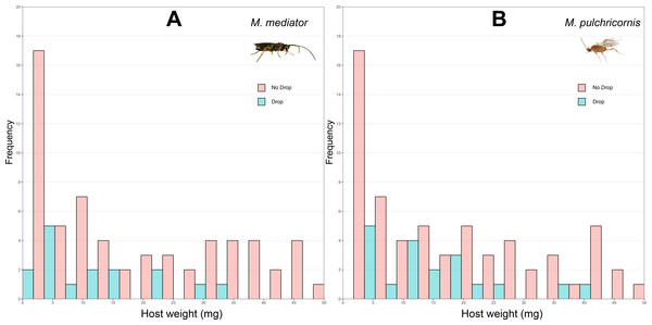 Distribution of body weight for Mythimna separata larvae with or without dropping in response to Microplitis mediator (A) and Meteorus pulchricornis (B).