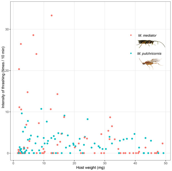 Intensity of thrashing of Mythimna separata larvae in response to Microplitis mediator and Meteorus pulchricornis.