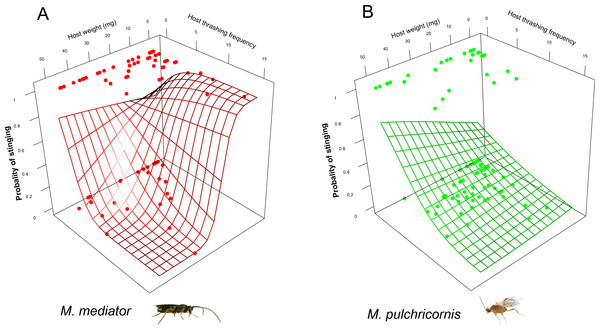 Probability of stinging as a function of both Mythimna separata larval body weight and thrashing frequency for Microplitis mediator (A) and Meteorus pulchricornis (B).