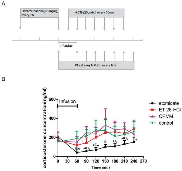 Determination of serum corticosterone concentrations.