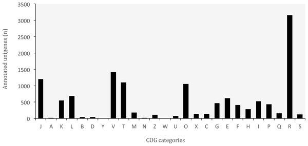 Distribution of Clusters of Orthologous Groups (COG) categories in the transcriptome of O. cruralis.