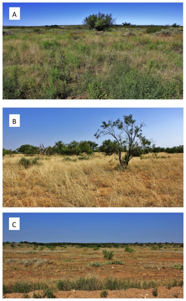 Photographs of range sites delineating (A) excellent, (B) moderate, and (C) poor bobwhite habitat conditions.