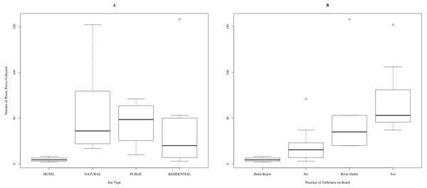 Number of macroplastic pieces collected in five-minute surveys, according to (A) site type and (B) the presence of T. oranata.