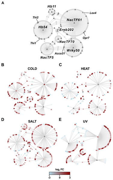 Co-expression networks for PSR TFs and their putative stress-responsive targets.