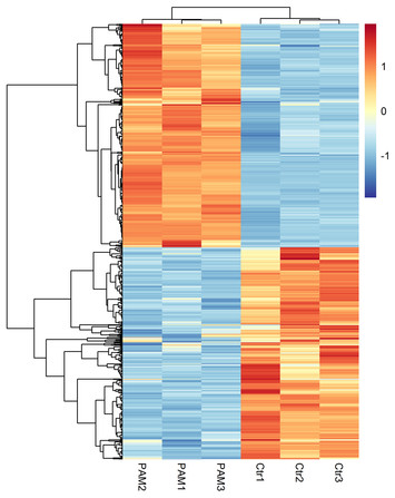 Gene expression profiling and functional analysis reveals that p53 ...