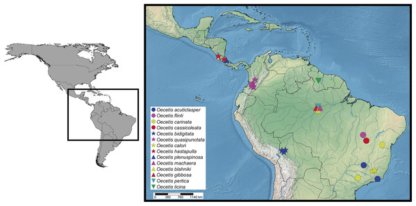 Distribution of the 14 new species of Oecetis based on the specimens presented on material examined sections.