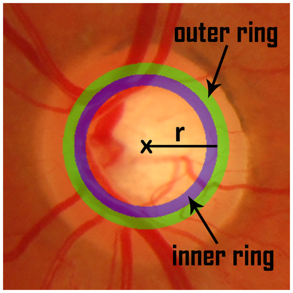 Inner and outer ring for a reference radius r.