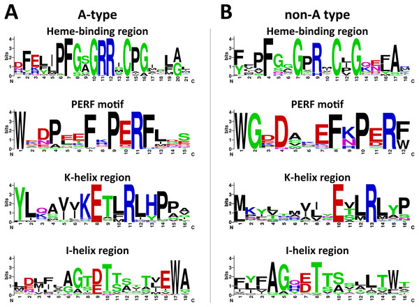 Weblogos of conserved motifs identified in A-type (A) and non-A type (B) CYP450s from L. japonica.
