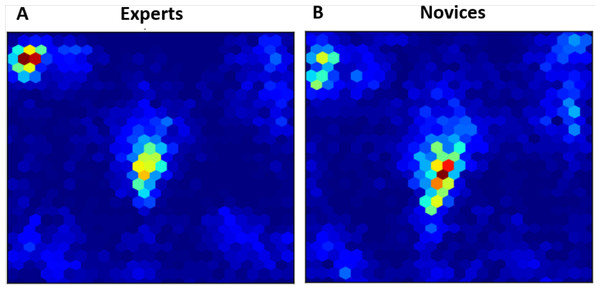 Heatmaps of fixations for experts (A) and novices (B) averaged over all trials.