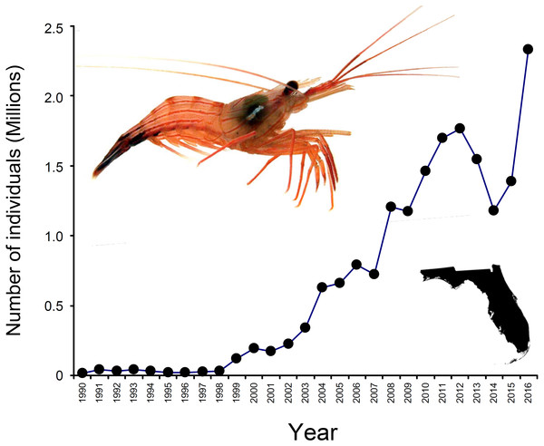 Number of peppermint shrimp captured per year for the period 1990–2016.