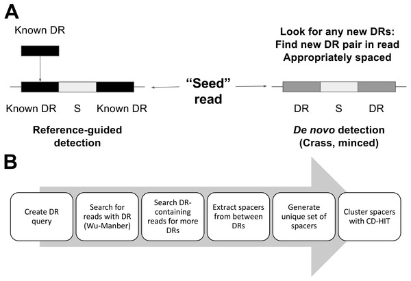 A comparison of per-read CRISPR detection strategies (A) between MetaCRAST and existing de novo detection tools (e.g., Crass, MinCED) and an outline of the MetaCRAST workflow (B).