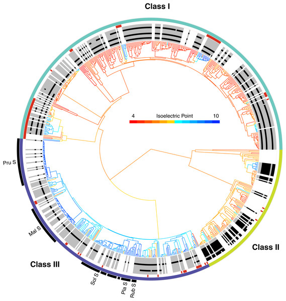 The phylogenetic distribution of intron patterns, isoelectric point (pI) values, and RNase function of the T2/S-RNase family in land plants.
