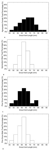 Histograms showing the distributions of percentages of male and female toad snout-vent length in agrosystem ((A) for females and (B) for males) and pine grove ((C) for females and (D) for males).