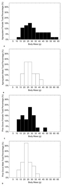 Histograms showing the distributions of percentages of male and female toad body mass in agrosystem ((A) for females and (B) for males) and pine grove ((C) for females and (D) for males).