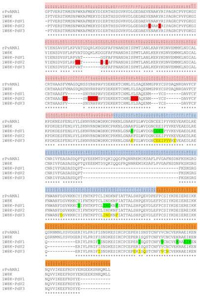 Contact map of the interface between PvAMA1 receptor and peptide closer than 3.5 Å.