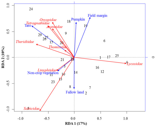 RDA Triplot (RDA on a covariance matrix) of the spatial correlation between Hellinger transformed abundance of spider families and vegetation types surrounding the brassica field using PCNM as distance matrix.