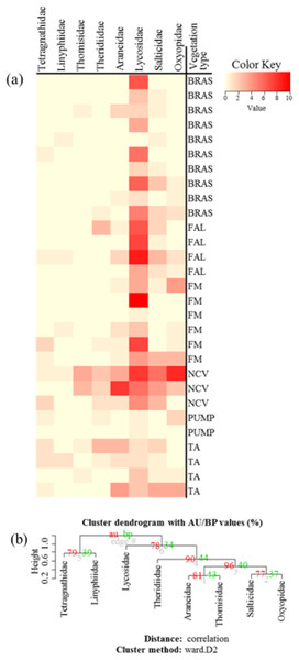 (A) Heatmap based on hierarchical clustering using Bray–Curtis resemblance matrix of spider taxa abundance at Minqing, where: “BRAS”, Brassica; “PUMP”, pumpkin; “FAL”, fallow land; “TA”, taro; “NCV”, Non-crop vegetation; and “FM”, Field margin. (B) Cluster plot to test the goodness of hierarchical clustering for abundance of spider families at Minqing.