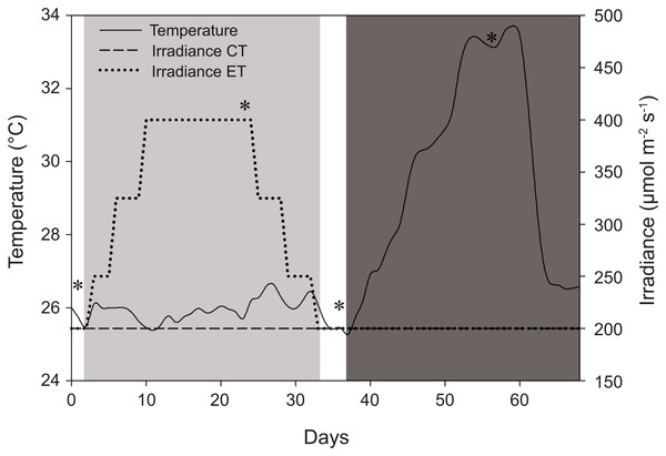 Schematic representation of the experimental design displaying variations in light and temperature over the 68-day interval.