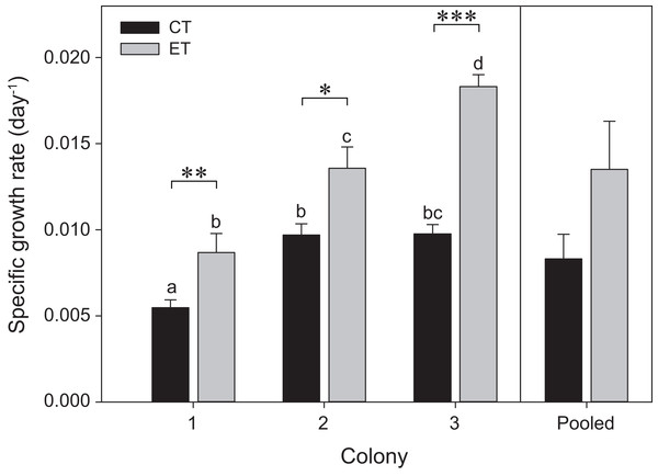 Specific growth rates for the three colonies of S. pistillata under control treatment (CT) and experimental treatment (ET) over a 35-day interval (i.e., before heat stress).