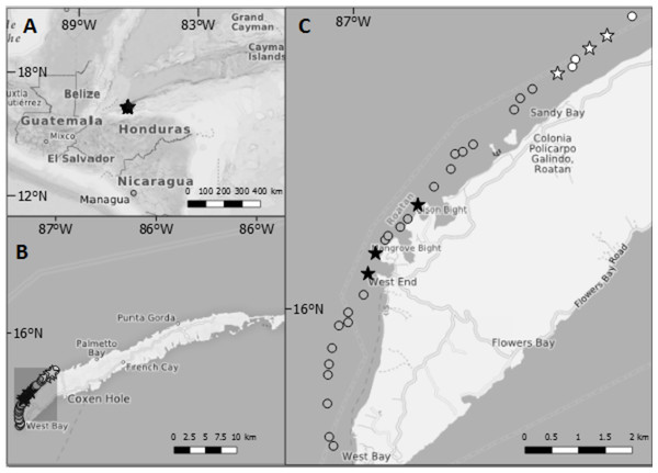 Maps showing the location of Roatan and the study sites inside Sandy Bay-West End Marine Reserve.