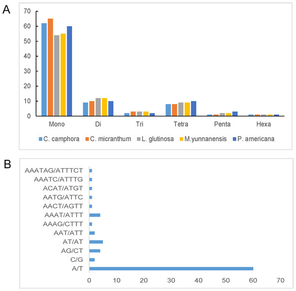 Number and type of simple sequence repeats (SSRs) in five plastomes of Lauraceae.