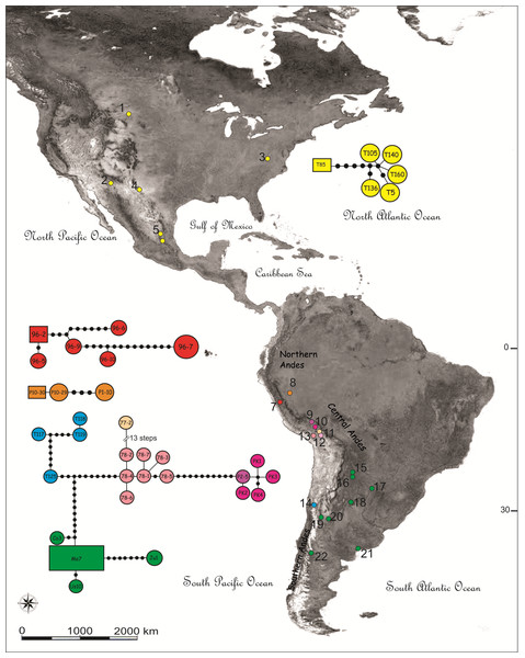 Map showing the sampling locations and haplotype networks built with a concatenated data set of COI and NADH5 mitochondrial genes of species of the Trimerotropis pallidipennis complex.