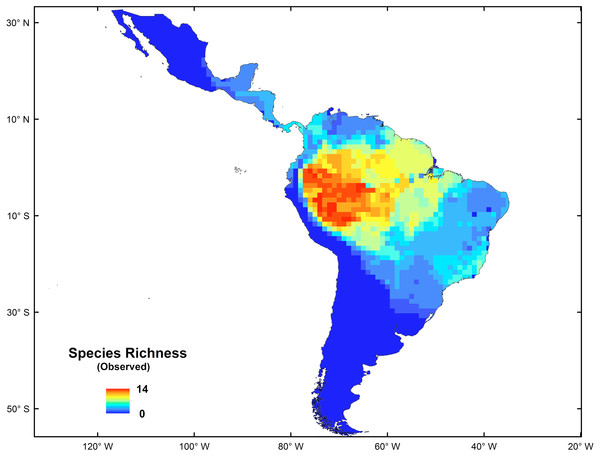 Spatial distribution of species richness for New World monkeys in the Neotropics.