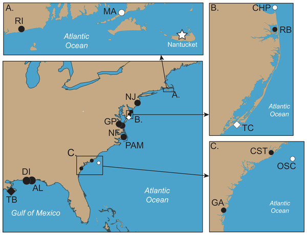 Collection locations of Chrysaora quinquecirrha s.l. medusae used in this study.