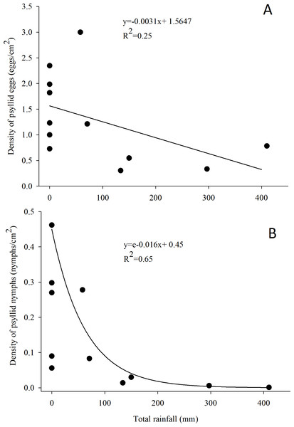 Relationship between the density of G. brimblecombei eggs (A) and nymphs (B) on E. camaldulensis and monthly total rainfall (n = 12).