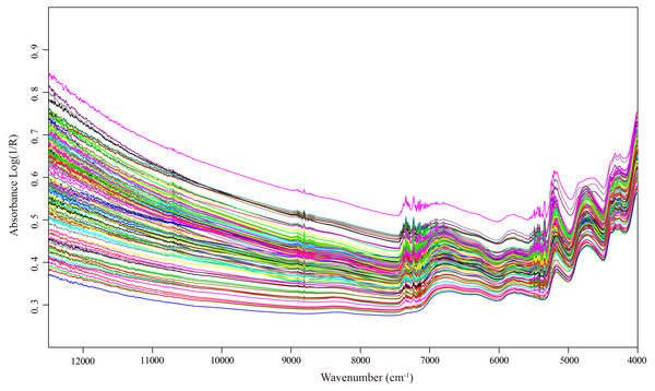 NIR spectra of each Italian ryegrass sample.