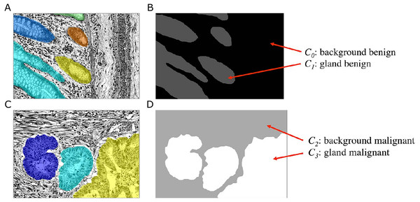 Ground truth label transformation for learning the four-class classification problem on the preprocessed images with the Object-Net.