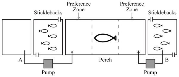 Schematic of experimental tanks.
