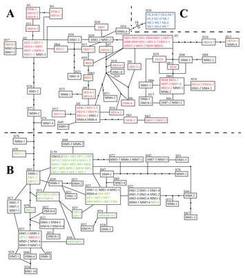 Evidence for continual hybridization rather than hybrid speciation ...