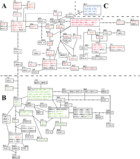 Evidence for continual hybridization rather than hybrid speciation ...