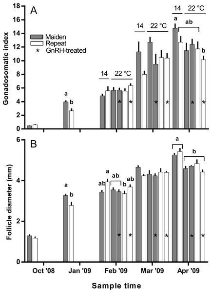 Mean + SEM (n = 6–7) gonadosomatic index (A) and follicle diameter (B) of maiden and repeat spawners.