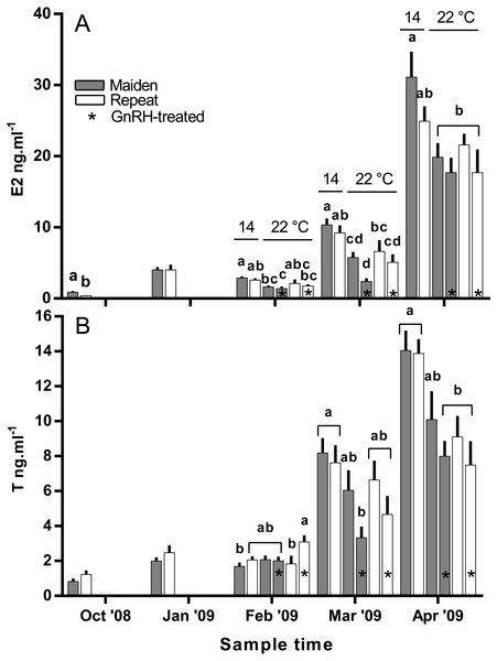 Mean + SEM (n = 6–7) plasma estradiol (A) and testosterone (B) levels of maiden and repeat spawners.