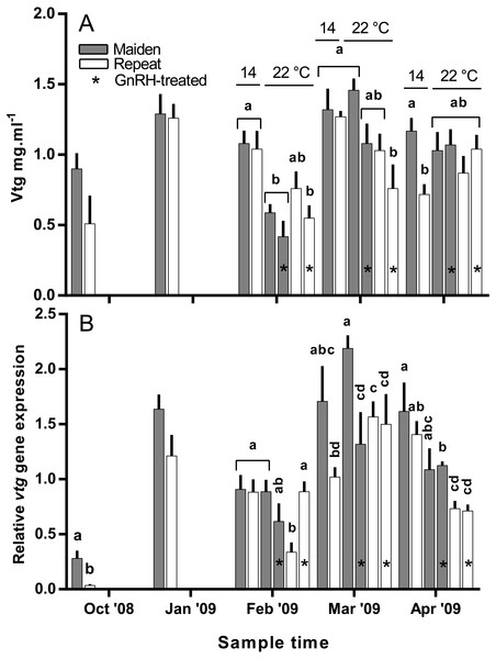 Mean + SEM (n = 6–7) plasma vitellogenin (A) levels, and hepatic vtg gene expression levels (B) of maiden and repeat spawners exposed to 14 or 22 °C with or without GnRH implantation.