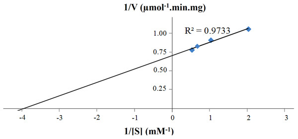 Lineweaver-Burk plot of purified CbhB assayed at 50°C and pH 4 using different 4-methylumbelliferyl-β-D-cellobioside (MUC) substrate concentrations (0.5 mM, 1.0 mM, 1.5 mM and 2.0 mM).