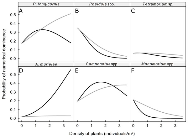 Predicted probability of dominance for (A) P. longicornis, (B) Pheidole spp., (C) Tetramorium sp., (D) A. murielae, (E) Camponotus spp. and (F) Monomorium spp.