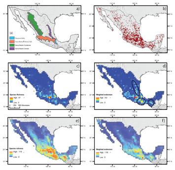 Influence of current climate, historical climate stability and ...