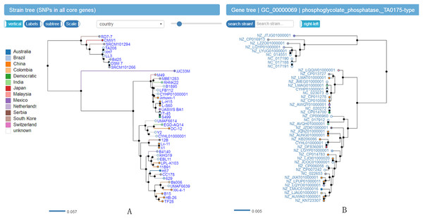 Screenshot of website (http://bapgd.hygenomics.com/pangenome/home) for visualization of Phylogenetic tree of 44 B. amyloliquefaciens strains (A) and genes (B).